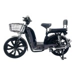22 inch Baling King front and rear guard rear folding shelf load power type household electric bicycle 400W/800W motor